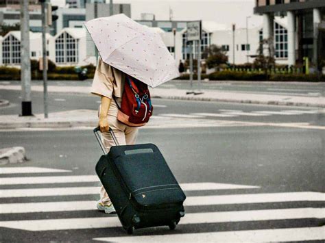 can u bring umbrella on plane